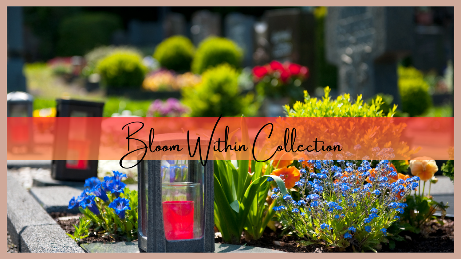 Bloom Within Collection