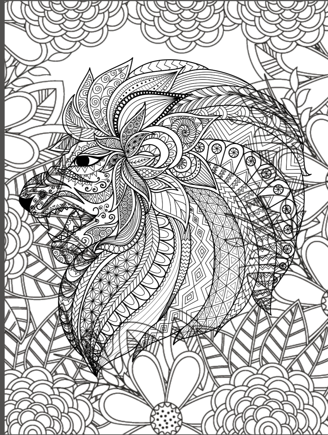 Healing Animals: Coloring Book